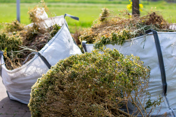 Best Shed Removal  in Estero, FL